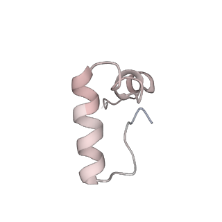 3133_5ady_2_v1-5
Cryo-EM structures of the 50S ribosome subunit bound with HflX