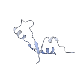 3133_5ady_3_v1-5
Cryo-EM structures of the 50S ribosome subunit bound with HflX