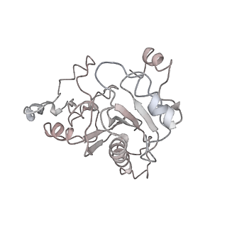 3133_5ady_5_v1-5
Cryo-EM structures of the 50S ribosome subunit bound with HflX