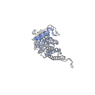 3133_5ady_6_v1-5
Cryo-EM structures of the 50S ribosome subunit bound with HflX