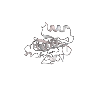 3133_5ady_7_v1-5
Cryo-EM structures of the 50S ribosome subunit bound with HflX