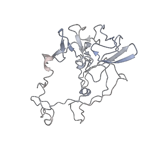 3133_5ady_C_v1-5
Cryo-EM structures of the 50S ribosome subunit bound with HflX