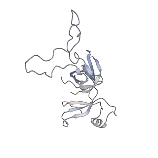 3133_5ady_D_v1-5
Cryo-EM structures of the 50S ribosome subunit bound with HflX