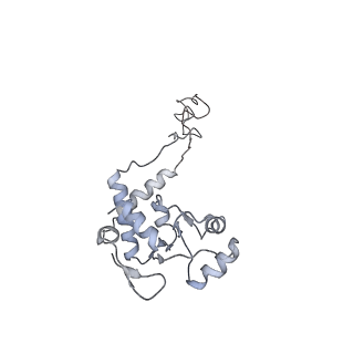 3133_5ady_E_v1-5
Cryo-EM structures of the 50S ribosome subunit bound with HflX