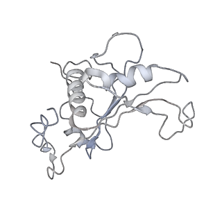 3133_5ady_F_v1-5
Cryo-EM structures of the 50S ribosome subunit bound with HflX