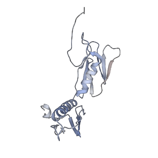 3133_5ady_G_v1-5
Cryo-EM structures of the 50S ribosome subunit bound with HflX