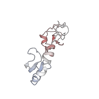 3133_5ady_H_v1-5
Cryo-EM structures of the 50S ribosome subunit bound with HflX