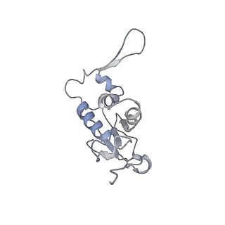 3133_5ady_J_v1-5
Cryo-EM structures of the 50S ribosome subunit bound with HflX
