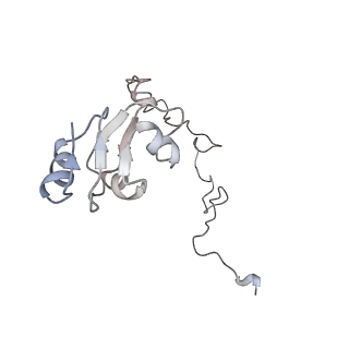 3133_5ady_L_v1-5
Cryo-EM structures of the 50S ribosome subunit bound with HflX