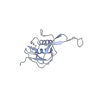 3133_5ady_M_v1-5
Cryo-EM structures of the 50S ribosome subunit bound with HflX