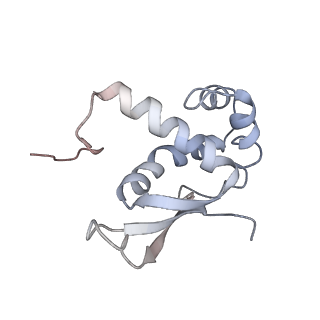3133_5ady_N_v1-5
Cryo-EM structures of the 50S ribosome subunit bound with HflX