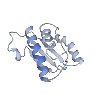 3133_5ady_O_v1-5
Cryo-EM structures of the 50S ribosome subunit bound with HflX