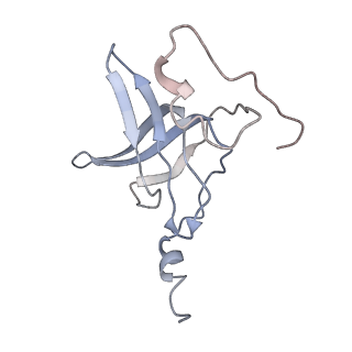 3133_5ady_P_v1-5
Cryo-EM structures of the 50S ribosome subunit bound with HflX