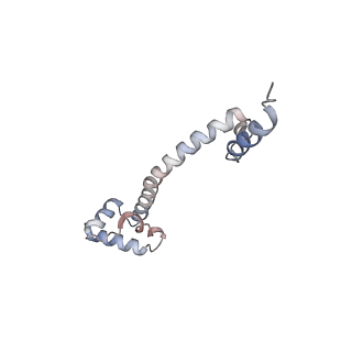 3133_5ady_Q_v1-5
Cryo-EM structures of the 50S ribosome subunit bound with HflX