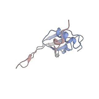 3133_5ady_T_v1-5
Cryo-EM structures of the 50S ribosome subunit bound with HflX