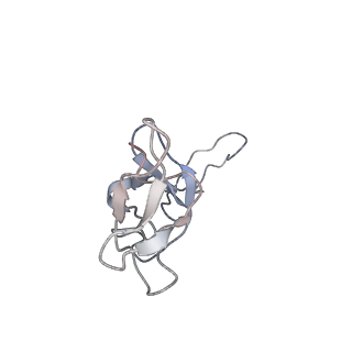 3133_5ady_U_v1-5
Cryo-EM structures of the 50S ribosome subunit bound with HflX
