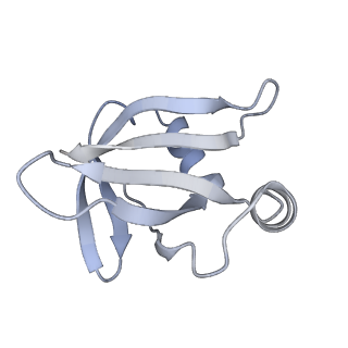 3133_5ady_V_v1-5
Cryo-EM structures of the 50S ribosome subunit bound with HflX