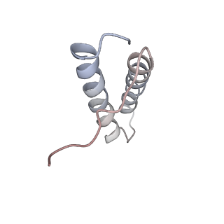 3133_5ady_Y_v1-5
Cryo-EM structures of the 50S ribosome subunit bound with HflX