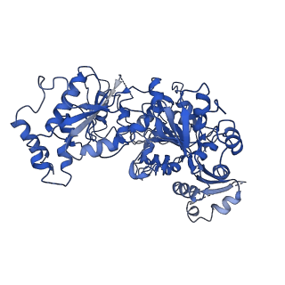 4970_7ad8_A_v1-0
Core TFIIH-XPA-DNA complex with modelled p62 subunit