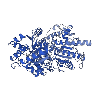 4970_7ad8_B_v1-0
Core TFIIH-XPA-DNA complex with modelled p62 subunit