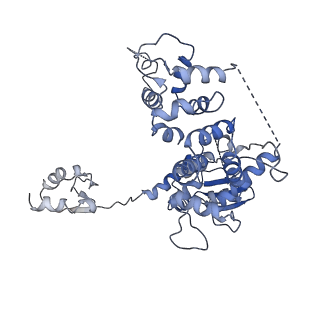 4970_7ad8_C_v1-0
Core TFIIH-XPA-DNA complex with modelled p62 subunit