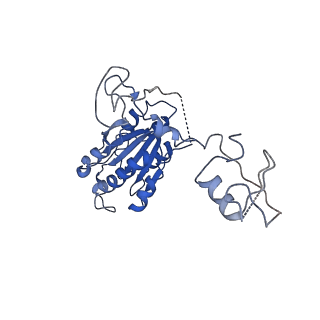 4970_7ad8_D_v1-0
Core TFIIH-XPA-DNA complex with modelled p62 subunit