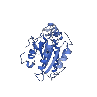4970_7ad8_E_v1-0
Core TFIIH-XPA-DNA complex with modelled p62 subunit