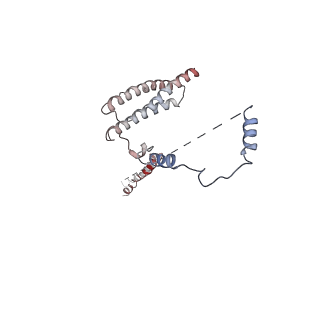 4970_7ad8_I_v1-0
Core TFIIH-XPA-DNA complex with modelled p62 subunit