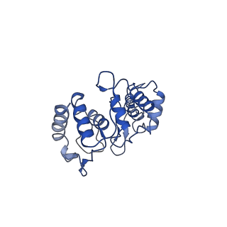 9610_6adq_C_v1-2
Respiratory Complex CIII2CIV2SOD2 from Mycobacterium smegmatis