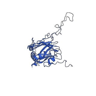 9610_6adq_E_v1-2
Respiratory Complex CIII2CIV2SOD2 from Mycobacterium smegmatis