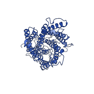 9610_6adq_F_v1-2
Respiratory Complex CIII2CIV2SOD2 from Mycobacterium smegmatis