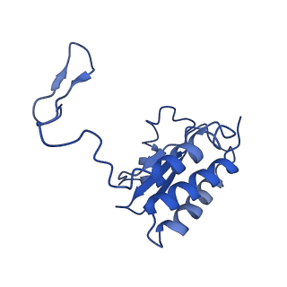 9610_6adq_J_v1-2
Respiratory Complex CIII2CIV2SOD2 from Mycobacterium smegmatis