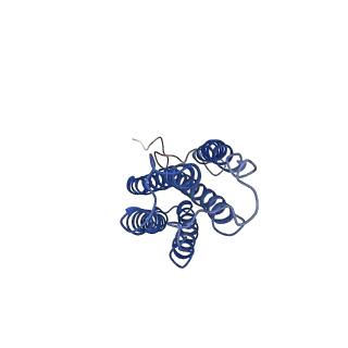 9610_6adq_S_v1-2
Respiratory Complex CIII2CIV2SOD2 from Mycobacterium smegmatis