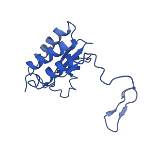 9610_6adq_V_v1-2
Respiratory Complex CIII2CIV2SOD2 from Mycobacterium smegmatis