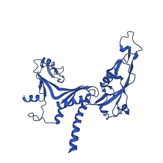 11736_7ae1_C_v1-1
Cryo-EM structure of human RNA Polymerase III elongation complex 1