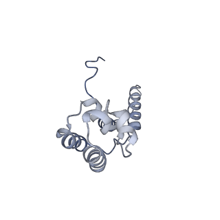 11736_7ae1_D_v1-1
Cryo-EM structure of human RNA Polymerase III elongation complex 1