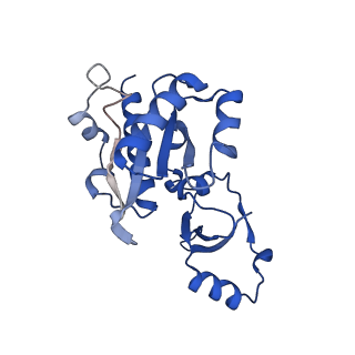 11736_7ae1_E_v1-1
Cryo-EM structure of human RNA Polymerase III elongation complex 1