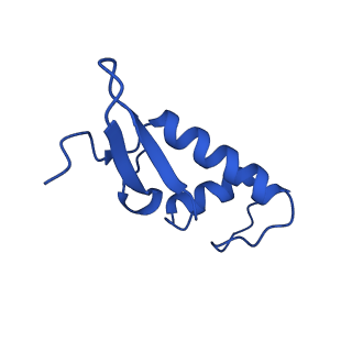 11736_7ae1_F_v1-1
Cryo-EM structure of human RNA Polymerase III elongation complex 1