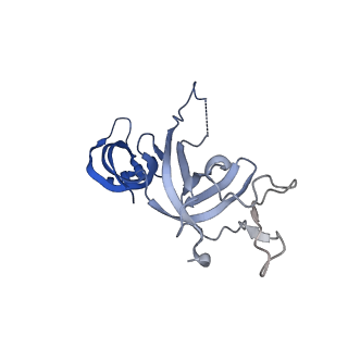 11736_7ae1_G_v1-1
Cryo-EM structure of human RNA Polymerase III elongation complex 1