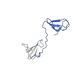 11736_7ae1_I_v1-1
Cryo-EM structure of human RNA Polymerase III elongation complex 1