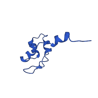 11736_7ae1_J_v1-1
Cryo-EM structure of human RNA Polymerase III elongation complex 1