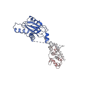 11736_7ae1_M_v1-1
Cryo-EM structure of human RNA Polymerase III elongation complex 1