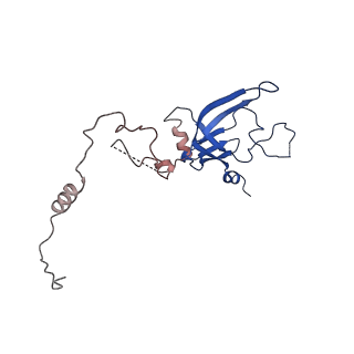 11736_7ae1_N_v1-1
Cryo-EM structure of human RNA Polymerase III elongation complex 1