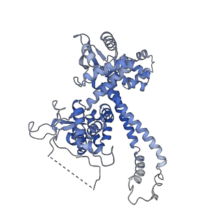11736_7ae1_O_v1-1
Cryo-EM structure of human RNA Polymerase III elongation complex 1