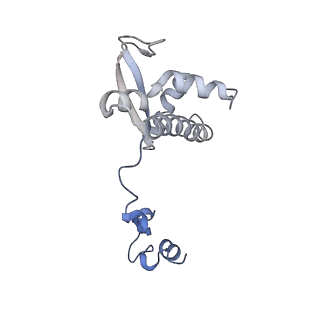11736_7ae1_P_v1-1
Cryo-EM structure of human RNA Polymerase III elongation complex 1