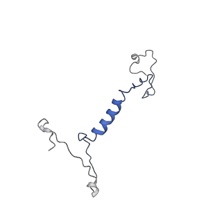 11736_7ae1_Q_v1-1
Cryo-EM structure of human RNA Polymerase III elongation complex 1