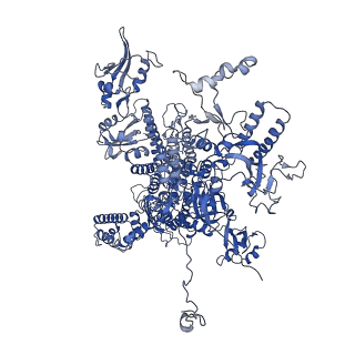 11738_7ae3_A_v1-1
Cryo-EM structure of human RNA Polymerase III elongation complex 3