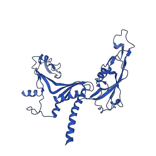 11738_7ae3_C_v1-1
Cryo-EM structure of human RNA Polymerase III elongation complex 3