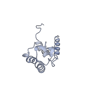 11738_7ae3_D_v1-1
Cryo-EM structure of human RNA Polymerase III elongation complex 3