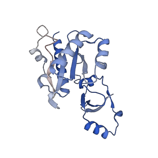11738_7ae3_E_v1-1
Cryo-EM structure of human RNA Polymerase III elongation complex 3